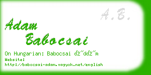 adam babocsai business card